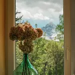 Le Ortensie *