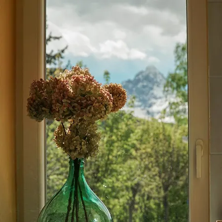 Le Ortensie *